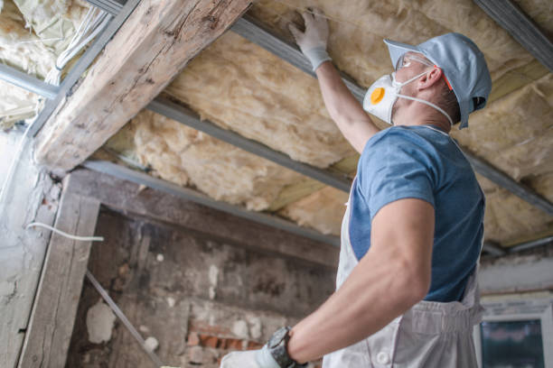 Best Energy-efficient Insulation  in Middlebury, IN