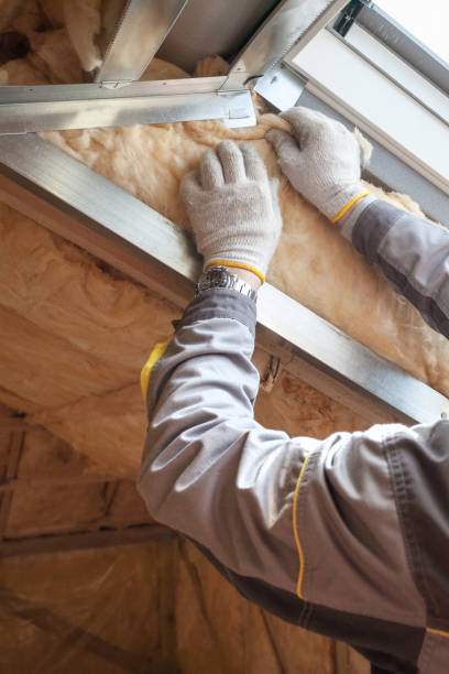 Insulation Replacement Services in Middlebury, IN